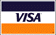 VISA Logo